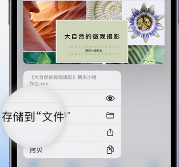 玉龙apple维修中心分享iPhone文件应用中存储和找到下载文件