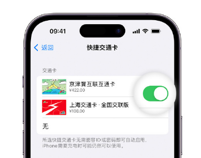 玉龙apple维修点分享iPhone上更换Apple Pay快捷交通卡手绘卡面 