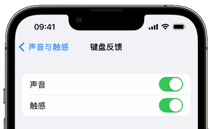 玉龙苹果手机维修分享iPhone 14触感键盘使用方法 