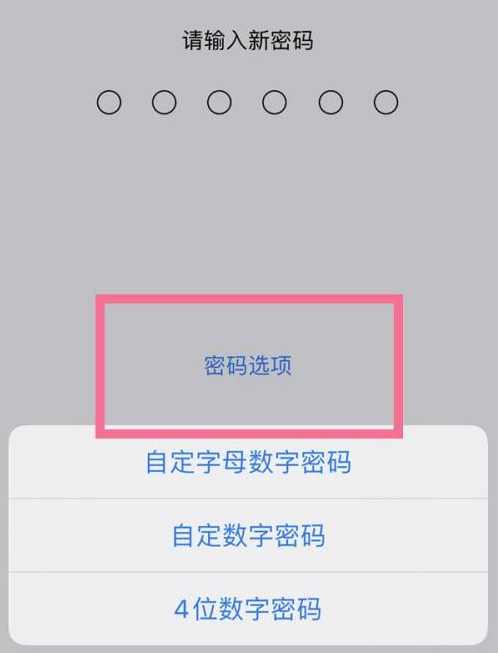 玉龙苹果14维修分享iPhone 14plus设置密码的方法 