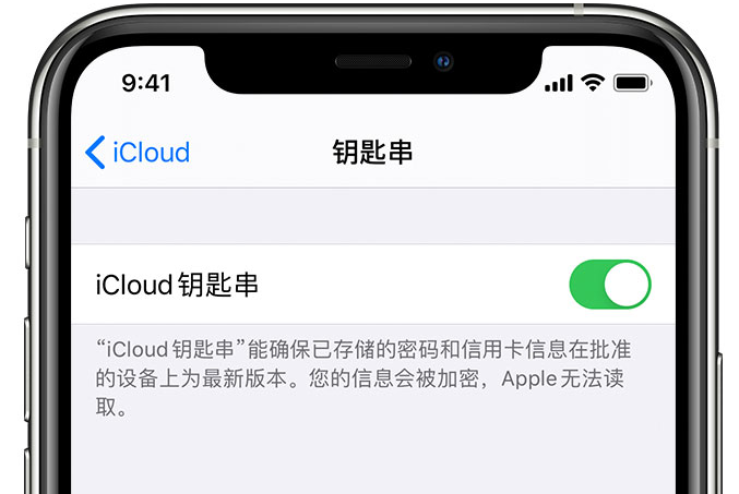 玉龙苹果手机维修分享在 iPhone 上开启 iCloud 钥匙串之后会储存哪些信息 